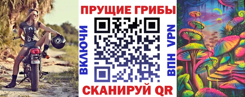 купить   Ухта  ссылка на мегу как зайти  Псилоцибиновые грибы мухоморы 